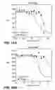 Fig. 13 - Antibody variants and uses thereof