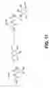 Fig. 19 - Poly(peptide) as a chelator: methods of manufacture and uses