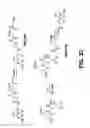 Fig. 34 - Poly(peptide) as a chelator: methods of manufacture and uses