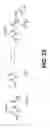 Fig. 35 - Poly(peptide) as a chelator: methods of manufacture and uses