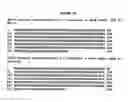Fig. 05 - Compositions and methods for the maintenance of oral health