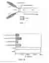 Fig. 02 - Chimeric IL-10
