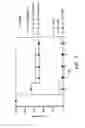 Fig. 07 - Chimeric IL-10