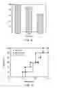 Fig. 08 - Chimeric IL-10