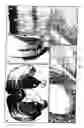 Fig. 11 - Method of treating a disorder by suicide gene therapy