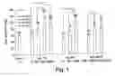 Fig. 02 - Methods and reagents for tissue engineering of cartilage in vitro