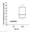 Fig. 06 - Methods for improving cell therapy and tissue regeneration in patients with cardiovascular and neurological diseases by means of shockwaves