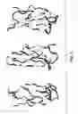 Fig. 06 - Pharmaceutically acceptable FN3 polypeptides for human treatments