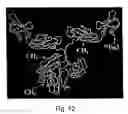 Fig. 13 - Pharmaceutically acceptable FN3 polypeptides for human treatments