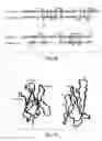 Fig. 17 - Pharmaceutically acceptable FN3 polypeptides for human treatments