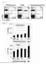 Fig. 07 - Method for detecting regulatory T cells using expression of folate receptor 4 as indicator, method for treating diseases using the detection method, pharmaceutical composition for immunostimulation, and method for treating diseases using the composition