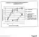 Fig. 08 - Immunomodulatory constructs and their uses