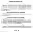 Fig. 09 - Use of antibodies against the MUC18 antigen