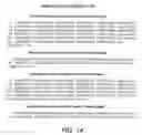 Fig. 15 - Use of antibodies against the MUC18 antigen
