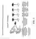 Fig. 02 - Neutralizing human antibodies to anthrax toxin