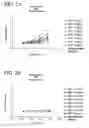 Fig. 03 - Neutralizing human antibodies to anthrax toxin