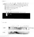 Fig. 25 - Vaccine against hcv