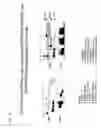 Fig. 26 - Vaccine against hcv
