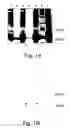 Fig. 02 - Multiepitope polypeptides for cancer immunotherapy