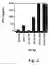 Fig. 03 - Multiepitope polypeptides for cancer immunotherapy