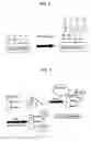 Fig. 03 - Stable rgd peptidomimetic composition