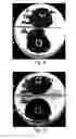 Fig. 06 - Infection resistant medical implants