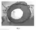 Fig. 04 - Use of one or more elements from the group containing yttrium, neodymium and zirconium and pharmaceutical compositions containing said elements