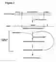 Fig. 02 - Oligonucleotide mimetics