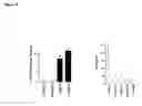 Fig. 10 - Methods of treating cancer with lipid-based platinum compound formulations administered intraperitoneally