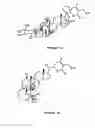 Fig. 05 - Cyclooxygenase-2 inhibitory withanolide compositions and method
