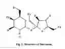 Fig. 02 - Process and composition of preparing granular sucralose for emulating table sugar