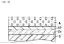Fig. 06 - Optical element obtained by homeotropically orienting liquid crystal molecule, member for liquid crystal display device using the same, and liquid crystal display device