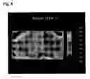 Fig. 09 - Liquid crystal panel and liquid crystal display apparatus