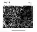 Fig. 08 - Optically embossed sheet for a laminate and method of making