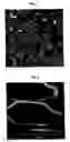 Fig. 02 - Structured self-cleaning surfaces and method of forming same
