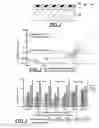Fig. 02 - Method of reducing corrosion of silver containing surfaces