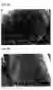 Fig. 05 - Positive active material for rechargeable lithium battery and method of preparing same