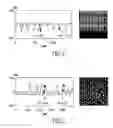 Fig. 03 - Photolithographic process, stamper, use of said stamper and optical data storage medium