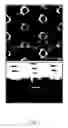 Fig. 08 - Method for preparing semiconductor device