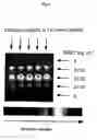 Fig. 05 - On-chip bioassay method and kit