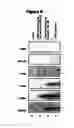 Fig. 09 - System for functional analysis of polypeptides