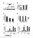 Fig. 16 - Method for screening compounds for those that modulate transducers of regulated CREB activity