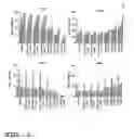 Fig. 02 - In vitro diagnostic test for enterovirus infections