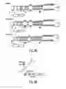 Fig. 07 - Methods and compositions for use in spliceosome mediated RNA trans-splicing