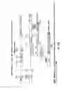 Fig. 74 - Methods and compositions for use in spliceosome mediated RNA trans-splicing