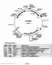Fig. 03 - Recombinant fusion proteins with high affinity binding to gold and applications thereof