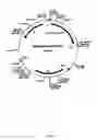 Fig. 16 - Recombinant fusion proteins with high affinity binding to gold and applications thereof