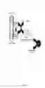 Fig. 22 - Recombinant fusion proteins with high affinity binding to gold and applications thereof