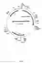 Fig. 25 - Recombinant fusion proteins with high affinity binding to gold and applications thereof