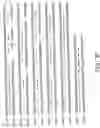 Fig. 09 - Polynucleotide probe and primer derived from hepatitis E virus recovered from japanese, chip including the same, kit including the same, and method of detecting hepatitis E virus genome using the same